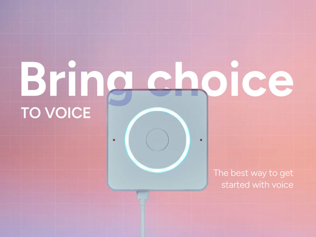 home assitant voice